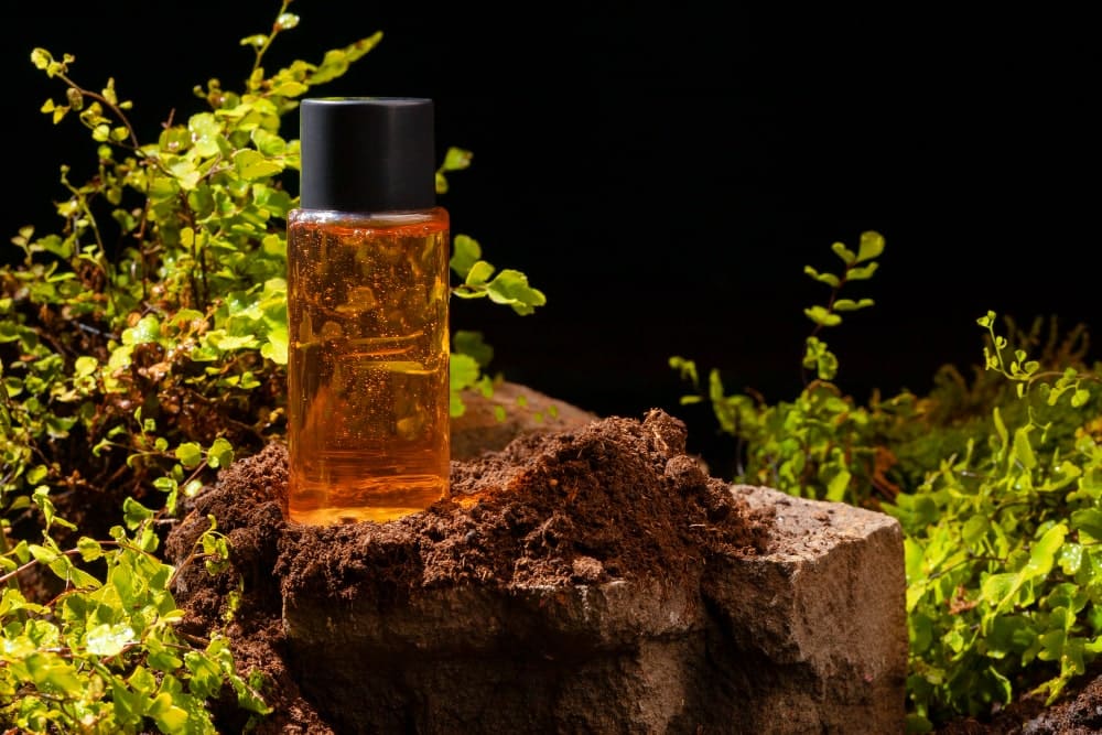 Universo de las Fragancias