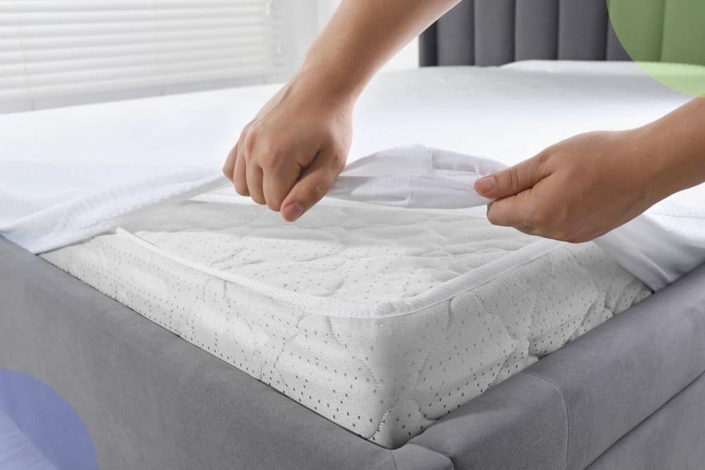 manchas según el tipo