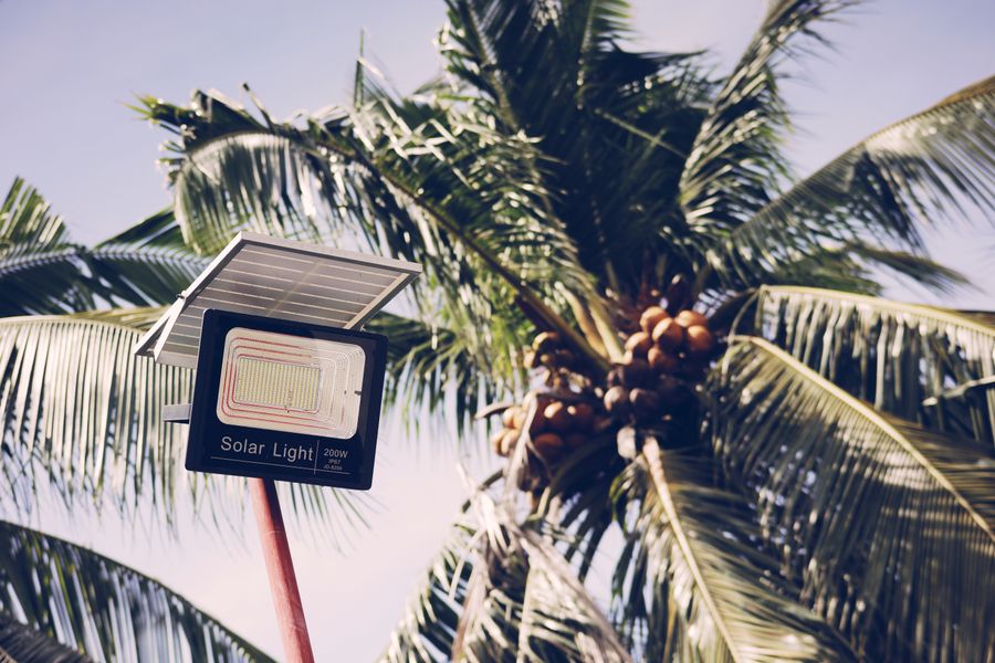 farola solar palmera tropical 2 Farola solar con palmera tropical